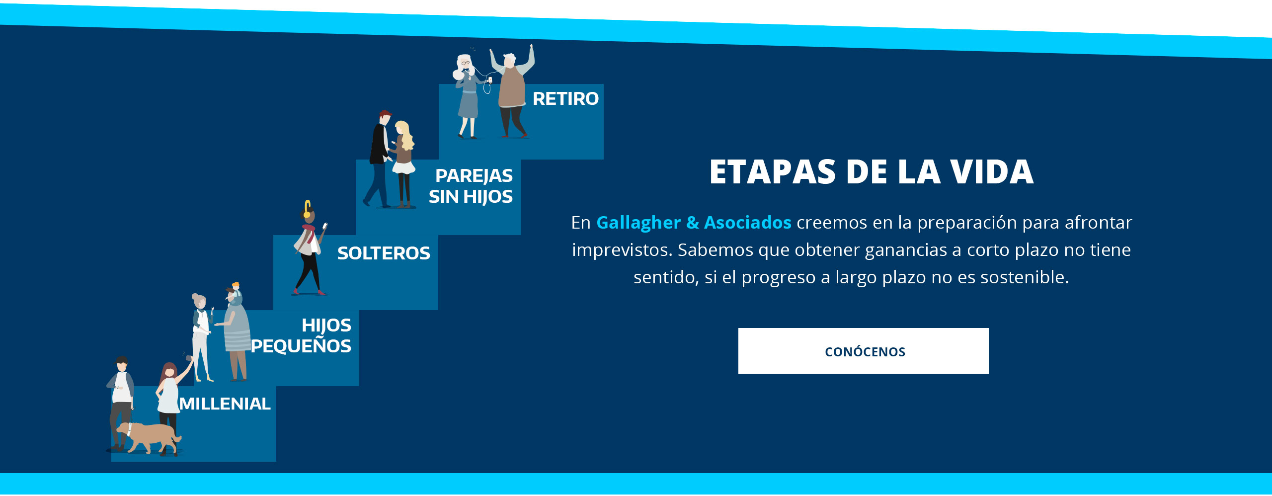 Etapas de la vida